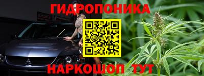 соль ск Дубна