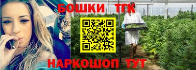 соль ск Дубна
