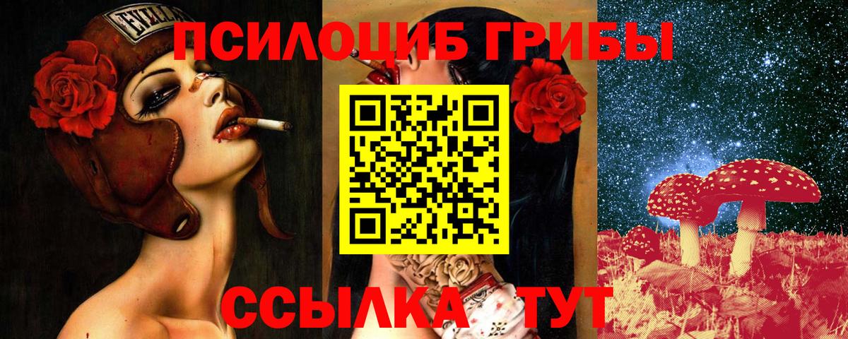 Луга  Псилоцибиновые грибы GOLDEN TEACHER  Вход с VPN 